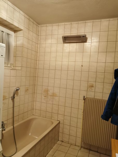 Altbestand